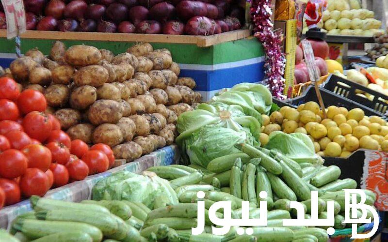 “بطاطس وبصل” أسعار الخضار اليوم بالكيلو الخميس 28/ 3/ 2024 في جميع الاسواق المحلية