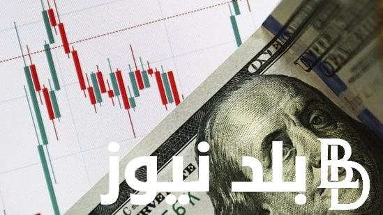 خسائر تجار العملة.. توقعات سعر الدولار في السوق السوداء اليوم السبت 2 مارس 2024