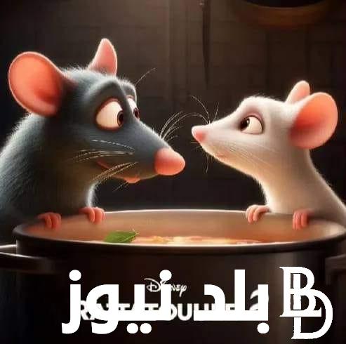 راجع تاني موسم جديد متى موعد نزول فيلم الفار الطباخ الجزء الثاني ؟؟ “Ratatouille 2” خلطبيطه بالصلصة متعة المشاهدة