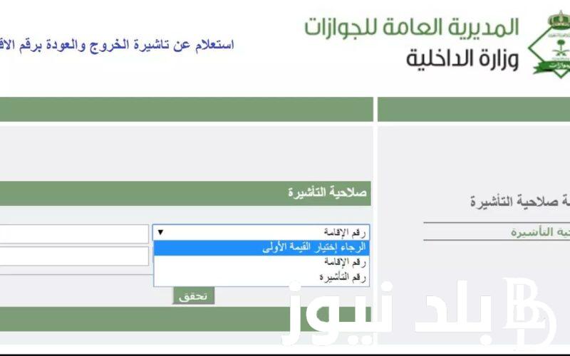 “تأشيرة العمرة” الاستعلام عن التأشيرة برقم الجواز 1445 والشروط المطلوبة من خلال منصة التأشيرات الالكترونية visa.mofa.gov.sa