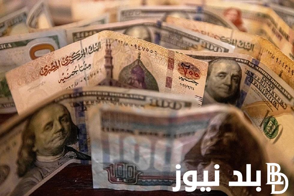 الدولار بكام النهاردة” سعر الدولار اليوم في السوق السوداء الثلاثاء 5 مارس 2024 مقابل الجنيه المصري