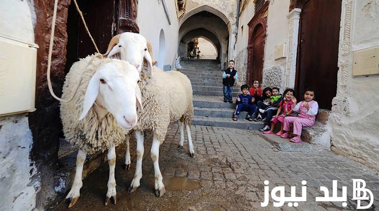 متى موعد العيد الكبير 2024 ووفقاً للدليل الفلكي وعدد أيام الاجازة في عيد الأضحى