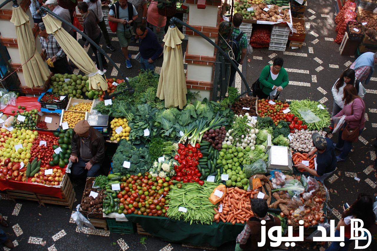 جدول أسعار الخضار اليوم في مصر بتاريخ الخميس 14-3-2024 بسوق العبور