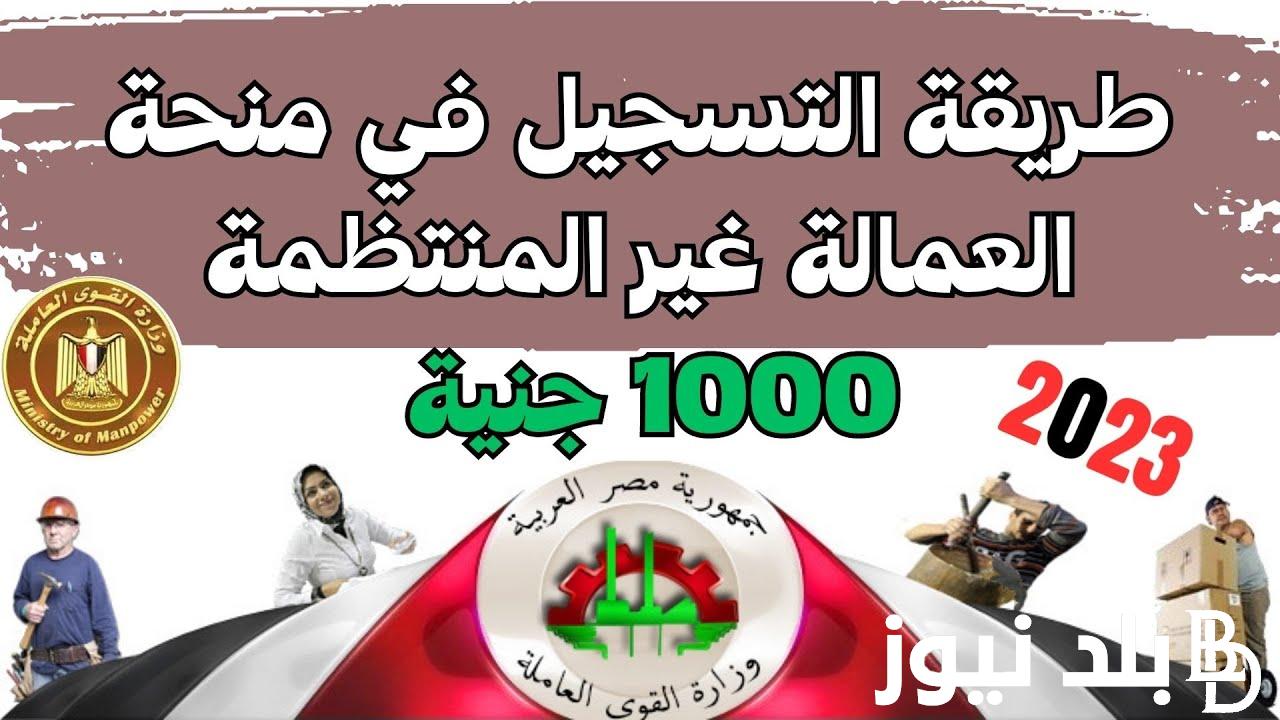 استعلم واقبض 1000 جنية || رابط الاستعلام عن منحة العمالة غير المنتظمة 2024  وخطوات التسجيل موقع “manpower.gov” وزارة القوي العاملة المصرية