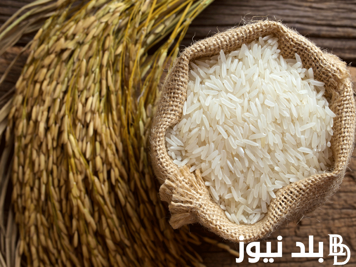 تسعيرة جديدة.. سعر طن الأرز الشعير اليوم الجمعة 15 مارس 2024 بالاسواق والمجمعات الاستهلاكية