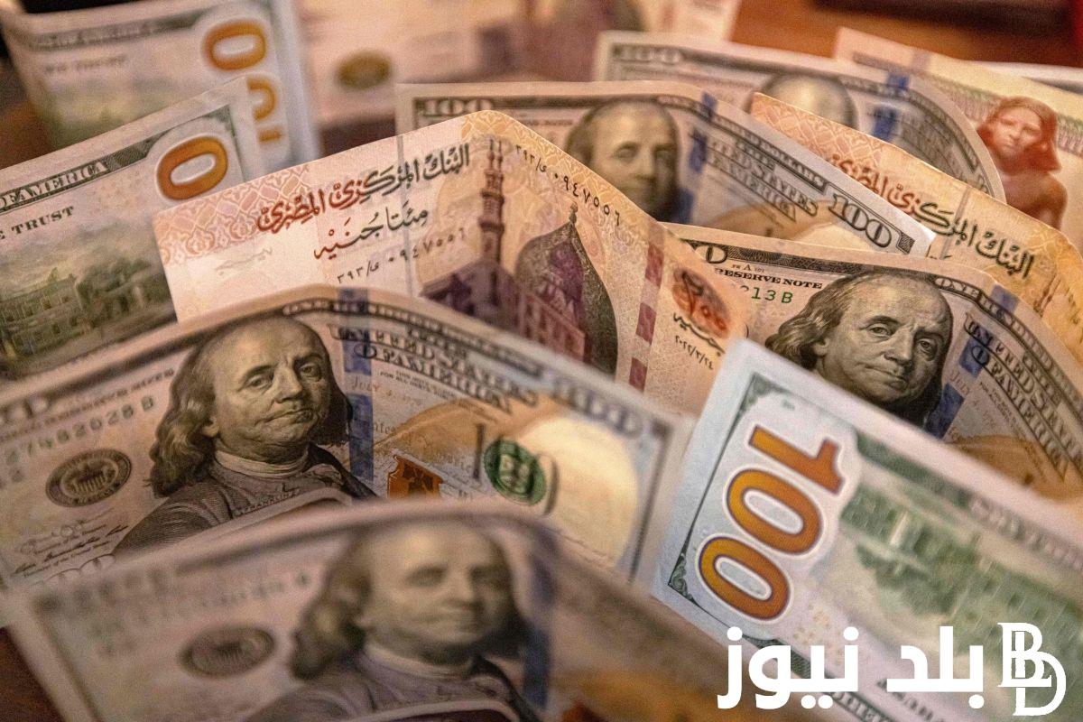 الاخضر بكام؟.. 100 دولار كم جنيه مصري اليوم في السوق السوداء؟ بتاريخ 9 مارس 2024