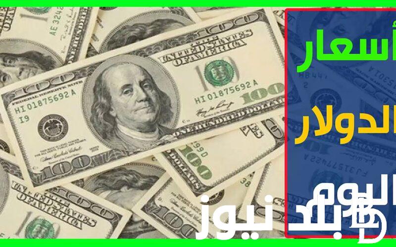 100 دولار كام مصري في السوق السوداء؟ اعرف سعر الدولار  الان في السوق السوداء مقابل الجنية المصري بتاريخ 13 مارس 2024