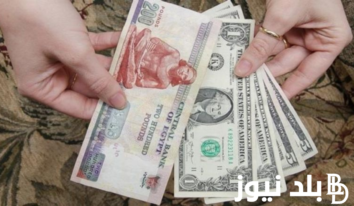 وبعدين معاك يا أخضر!! 100 دولار كم جنيه مصري اليوم في السوق السوداء؟ بتاريخ 7 مارس 2024