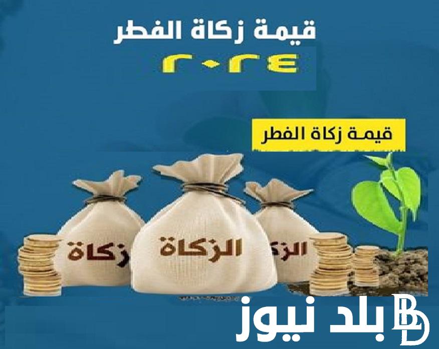 حتخرج كام في زكاة الفطر.. قيمة زكاة الفطر لعام 1445- 2024 وفق تحديد دار الإفتاء تحدد والشروط المطلوبة لإخراج الزكاة