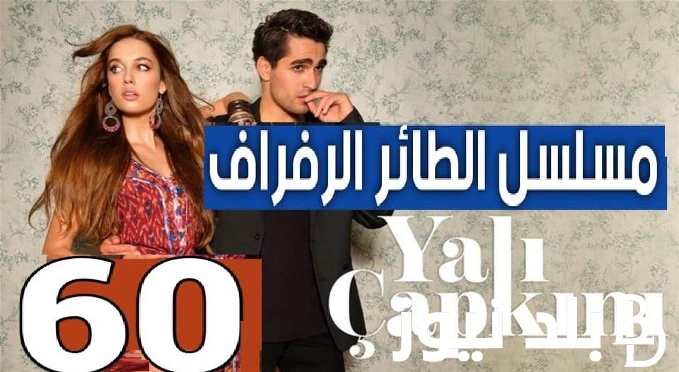 “Yalı Çapkını ح ٦٠مترجمة”.. مشاهدة مسلسل طائر الرفراف الحلقة 60 كاملة علي ايجي بست وقصة عشق HD قناة STAR TV التركية