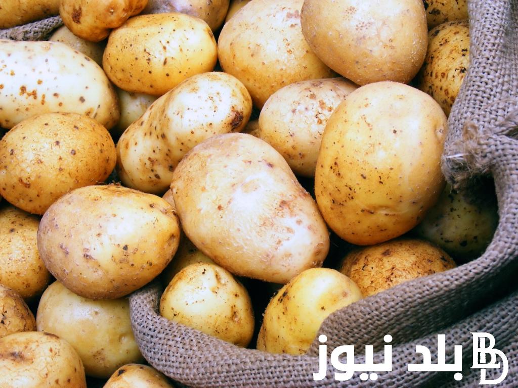 “بالكيلو” ما هو سعر البطاطس اليوم؟ السبت 20 ابريل 2024 في سوق العبور وللمستهلك