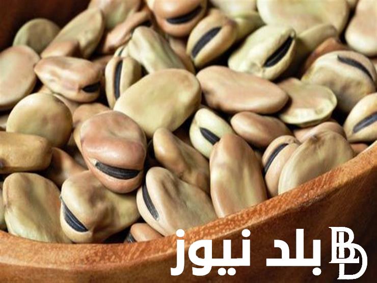 كم سعر طن الفول البلدي اليوم السبت 20-4-2024 للمُستهلك بالاسواق المحلية