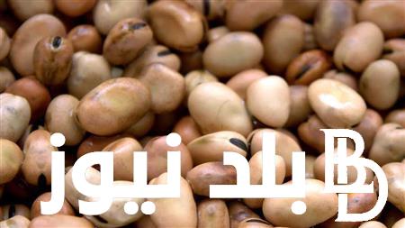 “الكيلو بـ50 ج” سعر اردب الفول البلدي اليوم الاربعاء 17-4-2024 للمُستهلك بالاسواق التجارية