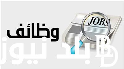 “الحق الفرصة” .. خطوات التقديم في وظائف الكهرباء 2024 والشروط المطلوبة من شركة الكهرباء eehc.gov.eg