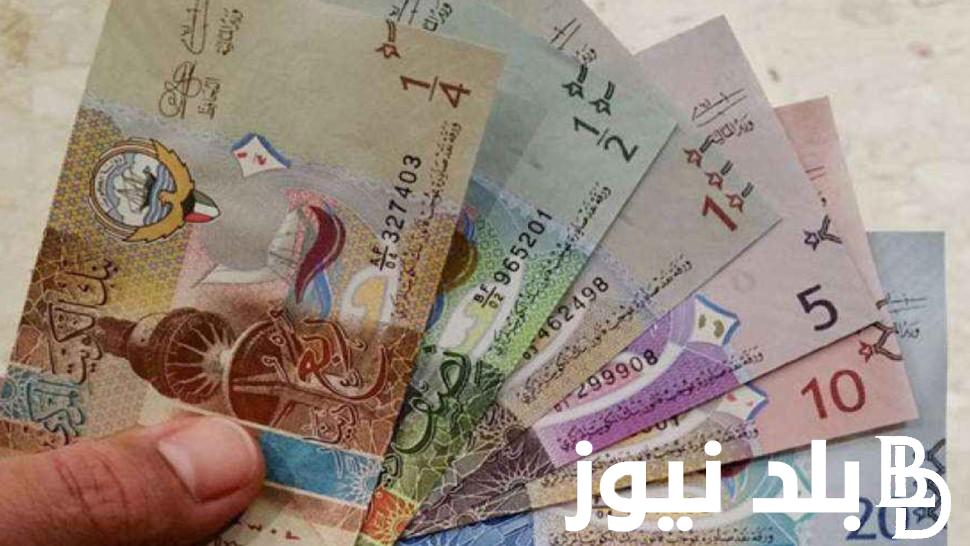 “الكويتي يتأرجح” سعر الدينار الكويتي اليوم الجمعة 19 ابريل 2024 في تعاملات السوق السوداء