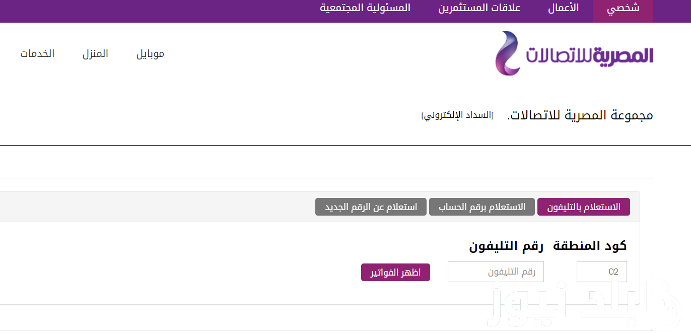 الاستعلام عن فواتير التليفون الأرضي بالاسم والرقم 2024 من خلال موقع المصرية للاتصالات billing.te.eg