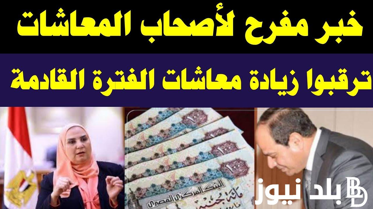 المعاش المبكر يعود من جديد لوظفي القطاع العام والخاص بشروط.. تعرف عليها