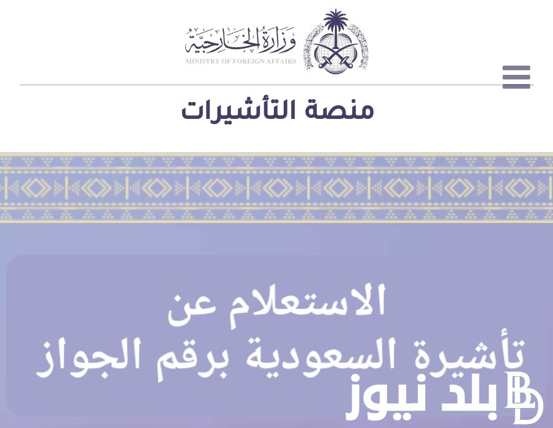 ” من هُنا” الاستعلام عن التأشيرة برقم الجواز 2024 عبر visa.mofa.gov.sa وخطوات استخراجها أونلاين