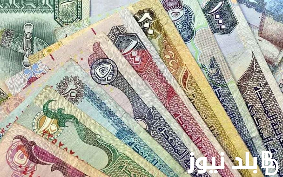 سعر الدرهم الإماراتي في السوق السوداء اليوم الاحد 21 ابريل 2024 مقابل الجنيه المصري