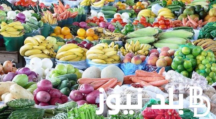 “بالكيلو” جدول أسعار الخضار اليوم الثلاثاء 14 مايو 2024 في سوق العبور