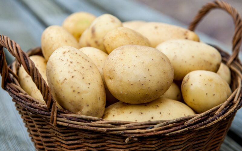 قائمة أسعار البطاطس اليوم في سوق العبور بتاريخ الخميس 30 مايو 2024