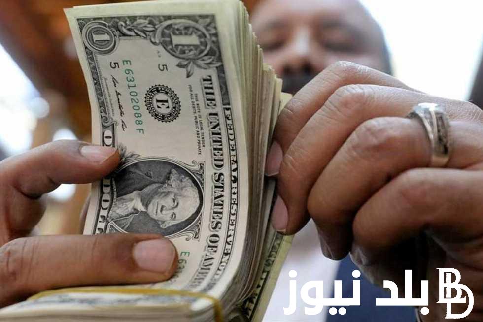 “الاخضر بكام اليوم” سعر الدولار اليوم في السوق السوداء الثلاثاء 7 مايو 2024 مقابل الجنيه المصري