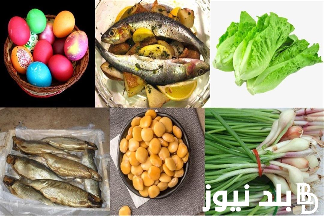 “عيد الربيع” احتفالات شم النسيم اليوم الإثنين 6 مايو 2024 في بعض محافظات الجمهوريه