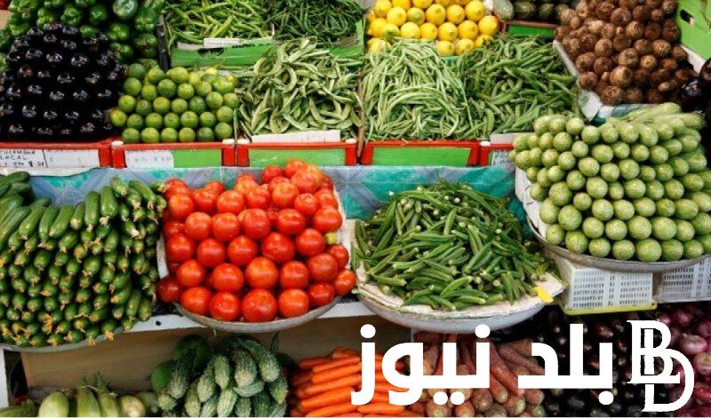 جدول اسعار الخضار اليوم الخميس 16 مايو 2024 في سوق العبور