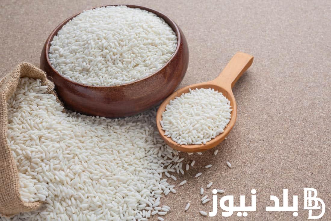 “الكيلو بـكام في السوق” سعر طن الأرز الشعير اليوم الجمعة 17-5-2024 للمستهلك بالاسواق والمنافذ التجارية