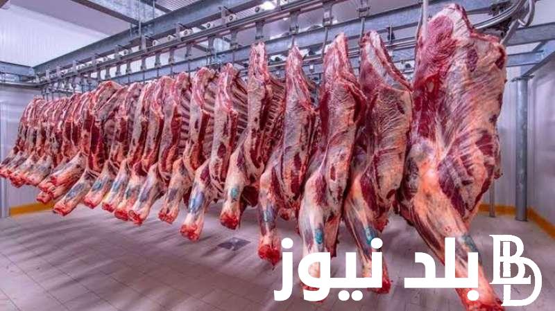 “الكندوز بـ 400ج” اسعار اللحوم اليوم الخميس 16 مايو 2024 بجميع محلات الجزارة والأسواق للمستهلك