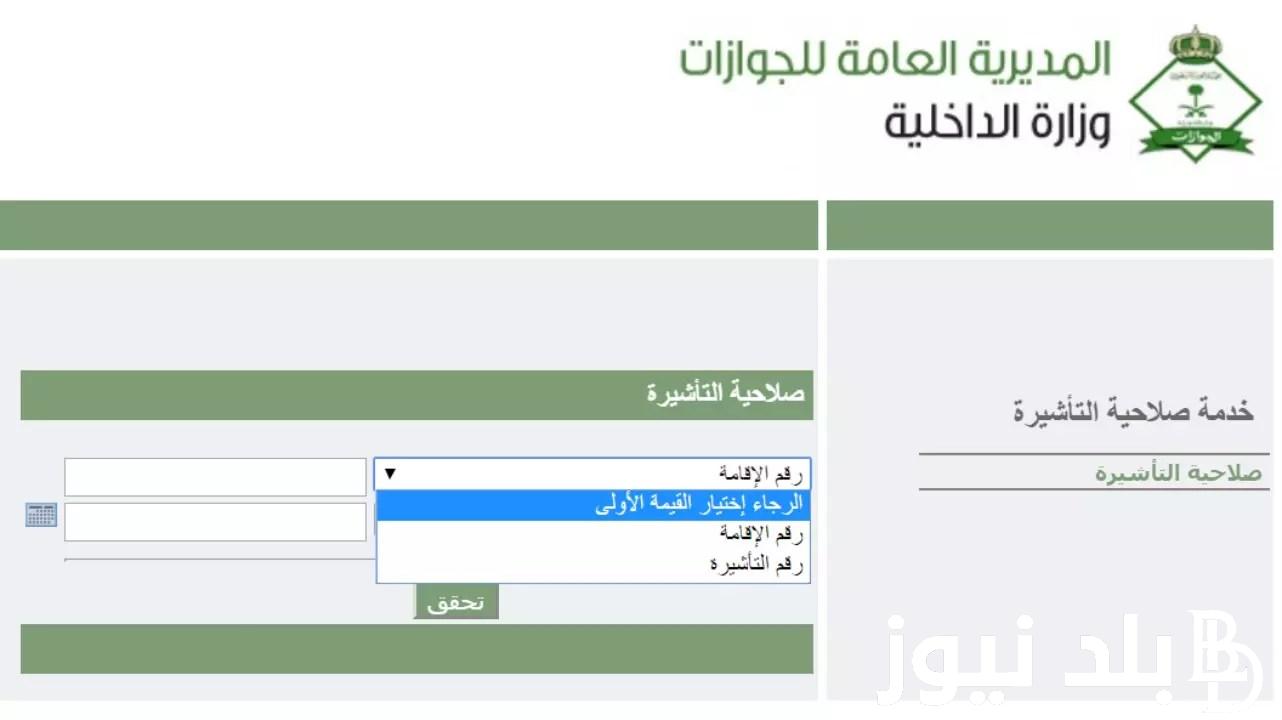 لينكـ الاستعلام عن تأشيرة السعودية برقم الجواز 2024 عبر visa.mofa.gov.sa