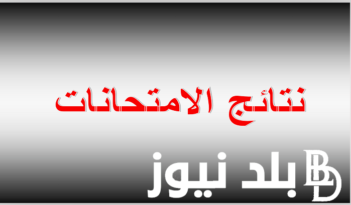 Basra results.. نتائج السادس الابتدائي 2024 البصرة عبر موقع نتائجنا الالكتروني results.mlazemna.com بالإٍسم والرقم الامتحاني