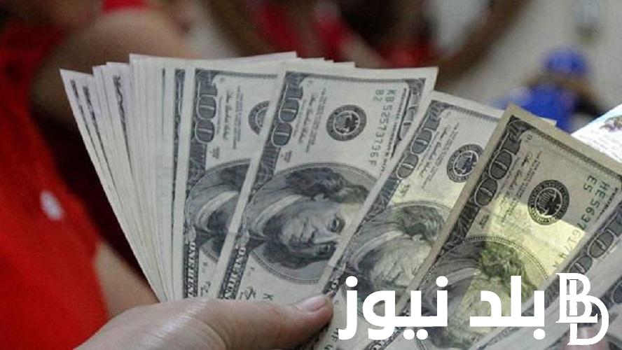 الاخضر وصل لكام؟.. اعلى سعر للدولار اليوم في السوق السوداء بتاريخ 14 مايو 2024 مقابل الجنيه المصري