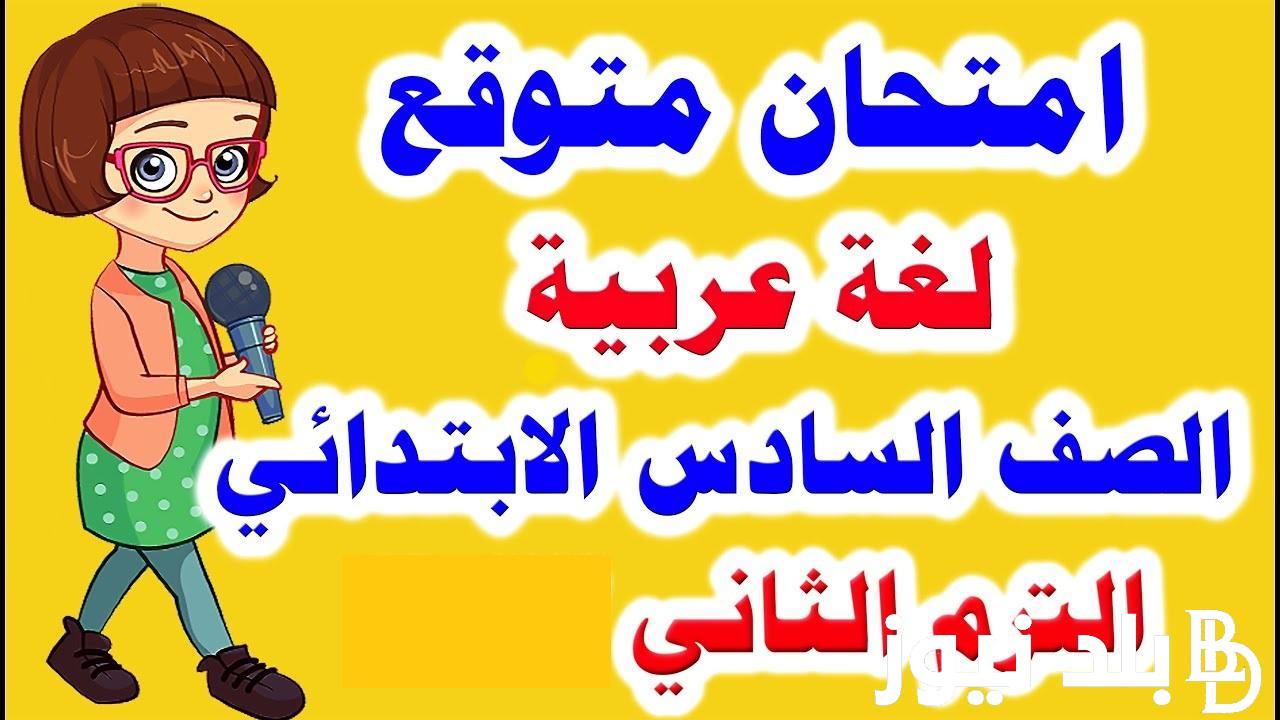 “جميع المواد” نماذج امتحانات لغة عربية للصف السادس الابتدائي ترم ثاني pdf في كل المحافظات عبر موقع وزارة التربية والتعليم moe.gov.eg