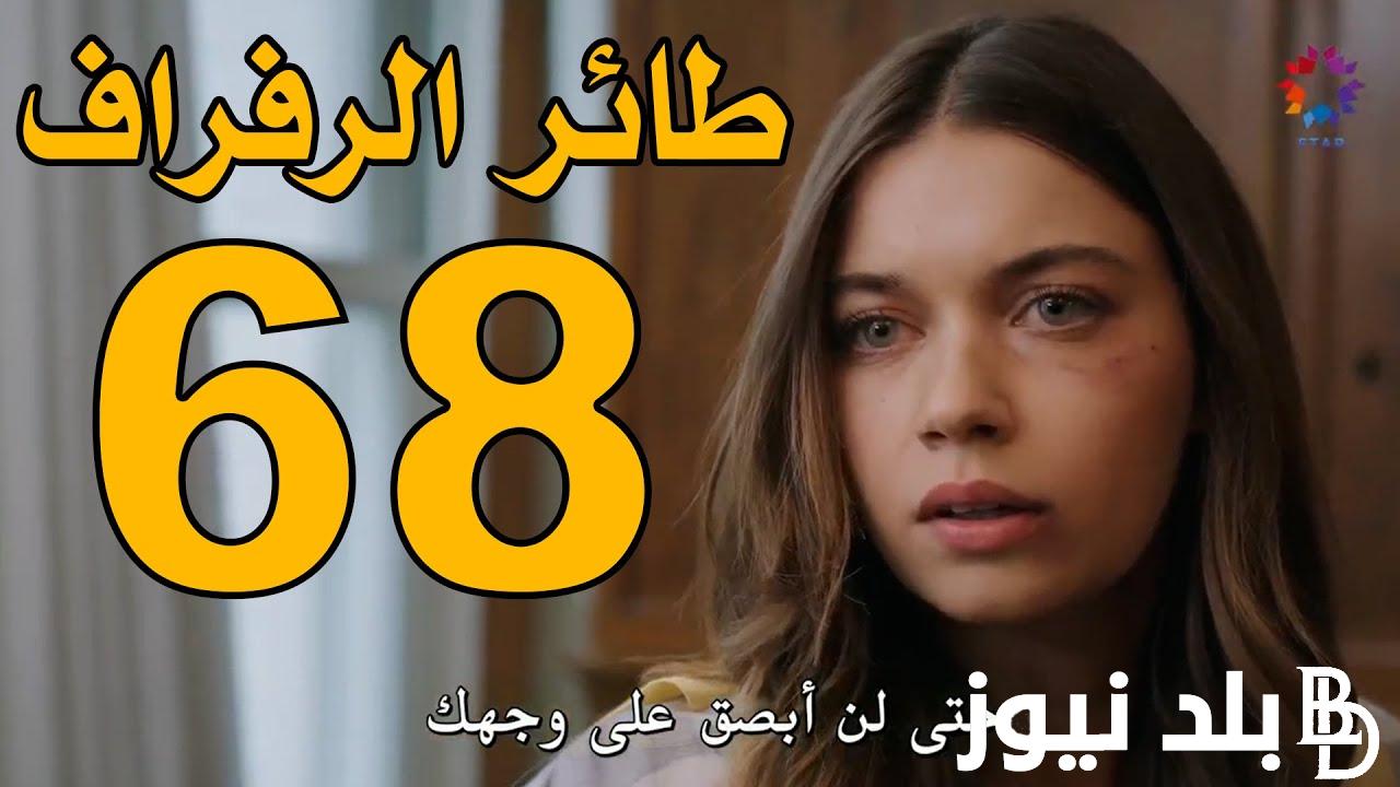 تابع الآن.. مسلسل الطائر الرفراف الحلقة 68 كاملة ومتُرجمة على موقع قصة عشق بجودة عالية