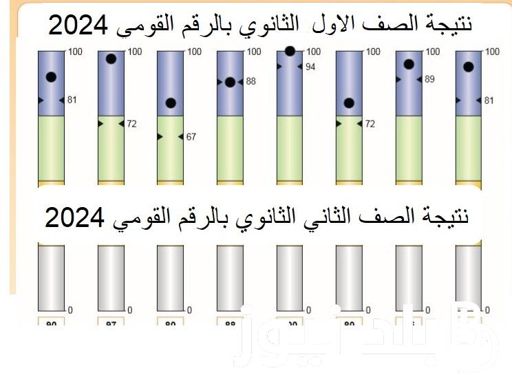 بالاسم ورقم الجلوس link الاستعلام عن نتيجة الصف الأول والثاني الثانوي 2024 من موقع وزارة التربية والتعليم  جميع المحافظات بوابة نتائج الثانوية العامة