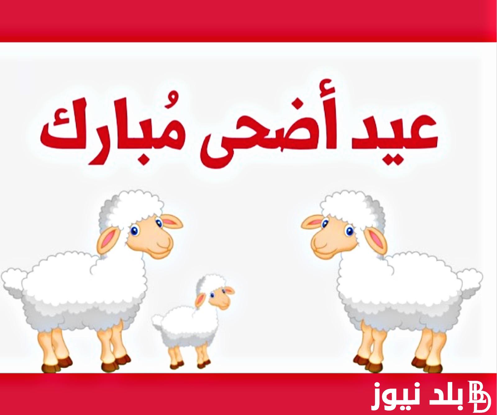 “العيد فرحه” موعد عيد الاضحى 2024 في مصر مع أجمل عبارات التهنئه الخاصه بهذه المناسبه