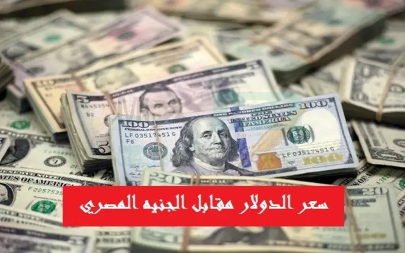 100 دولار كام مصري في السوق السوداء الآن مقابل الجنيه المصري وبجميع البنوك المصرية