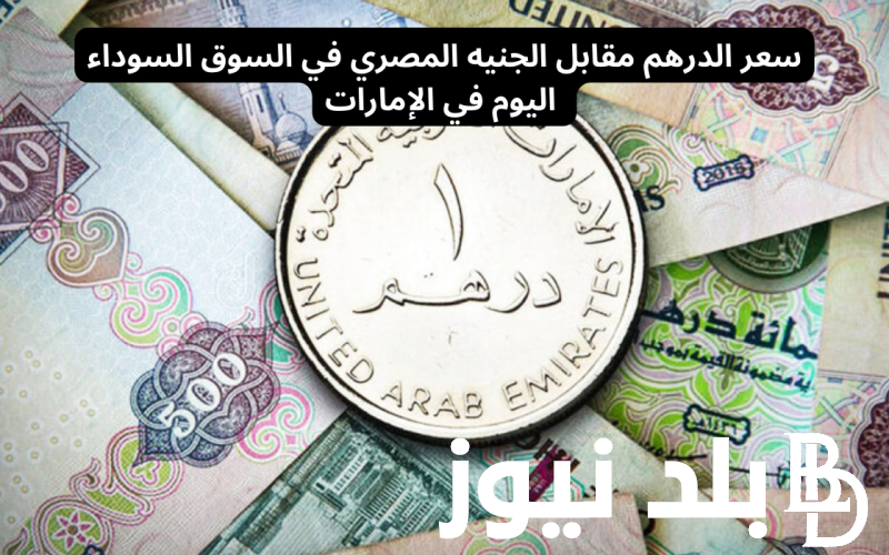 استقرار سعر الدرهم الإماراتي اليوم في السوق السوداء بتاريخ 27 يونيو 2024 في مصر