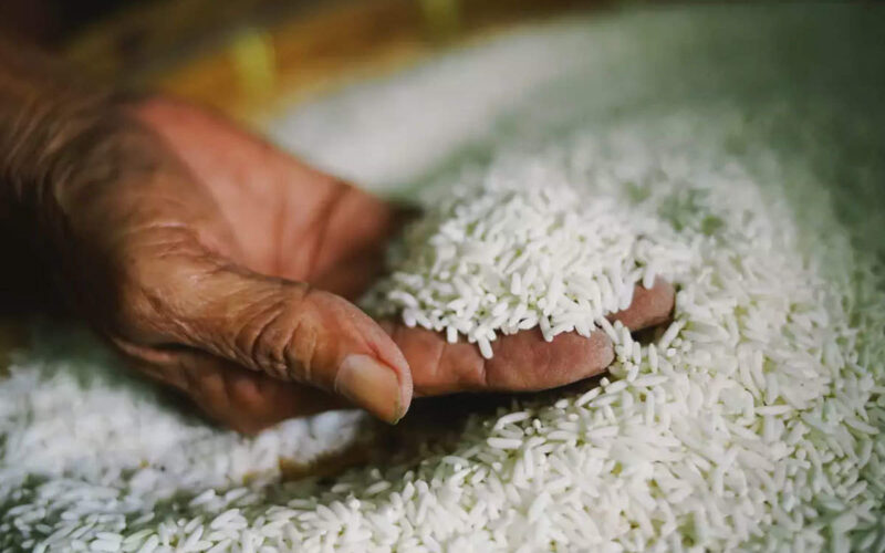 “الكيلو بكام” ارتفاع أسعار الأرز اليوم الاربعاء 26 يونيو للمستهلك في الاسواق المحلية