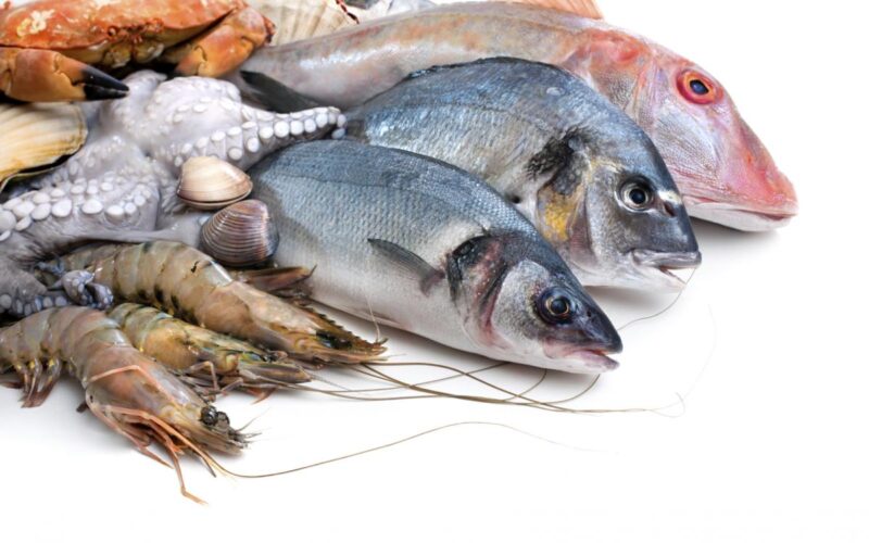 “قراميط وثعابين” أسعار السمك اليوم في القاهرة بسوق العبور بتاريخ الخميس 27 يونيو 2024