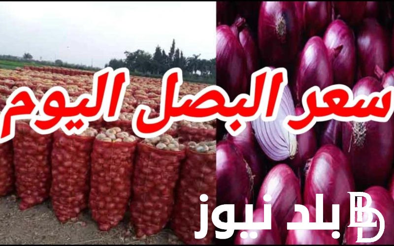 “كل الاصناف” سعر البصل اليوم الخميس 27-6-2024 في الاسواق.. الطماطم ترتفع 2 جنيه