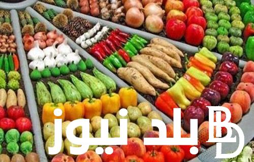 “المانجا بكام؟” أسعار الفاكهة اليوم الاحد 16 يونيو 2024 في سوق العبور للمستهلك في مصر