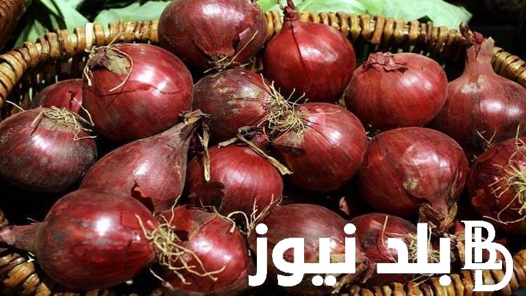 “قللي تقلية” سعر البصل اليوم الاربعاء 26 يونيو 2024 في سوق العبور للمستهلك في مصر