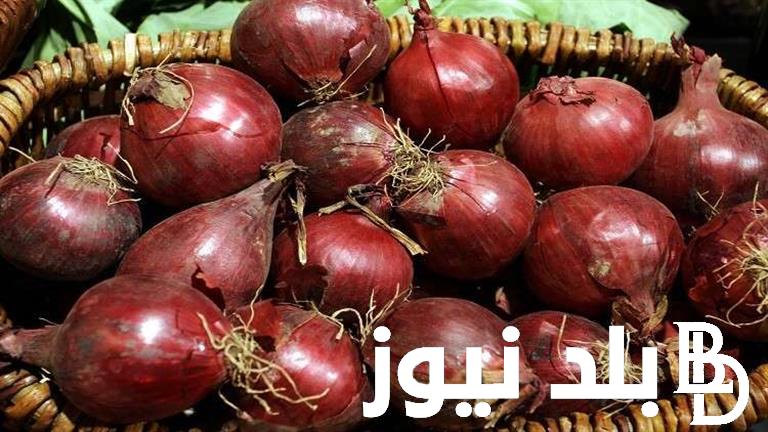 البصل بـ5ج.. اسعار البصل اليوم الاحد 23 يونيو 2024 فى سوق العبور للمستهلك في مصر