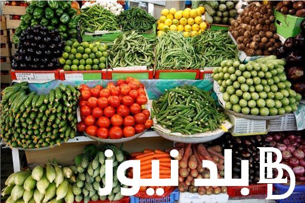 “كم سعر كيلو الثوم” أسعار الخضروات في سوق العبور اليوم بتاريخ 26 يونيو 2024 في مصر