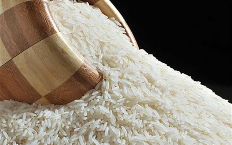 “الطن بـ15 ألف ج” سعر طن الأرز الشعير اليوم الخميس 27-6-2024 للمُستهلك بجميع الاسواق والمحلات