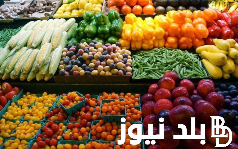 “مشمش، بطيخ، مانجا” اسعار الفاكهه اليوم الجمعة 21 يونيو 2024 في سوق العبور للمستهلك في مصر