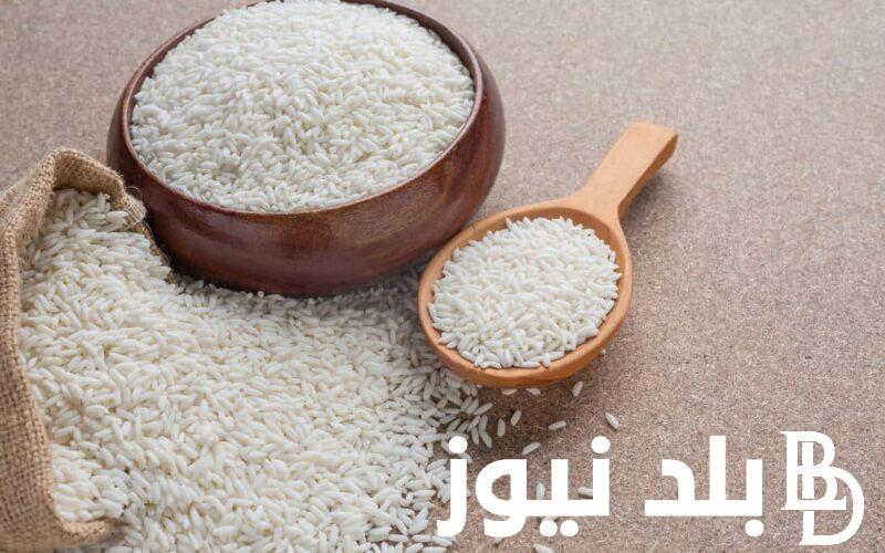 الطن بكام؟.. سعر الأرز الشعير الآن 2024 للمستهلك في مصر بتاريخ 29 يونيو 2024
