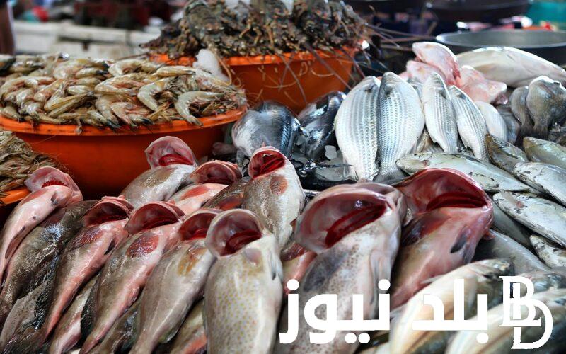 العب ياسمك.. اسعار السمك اليوم الثلاثاء 25 يونيو 2024 للمُستهلك في الاسواق المصرية